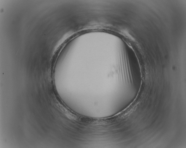 X0000077391216200611031953