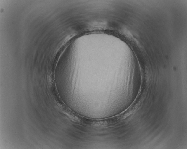 X0000077391217200611031953