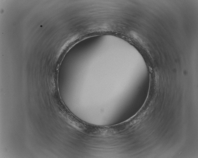 X0000077391218200611031953