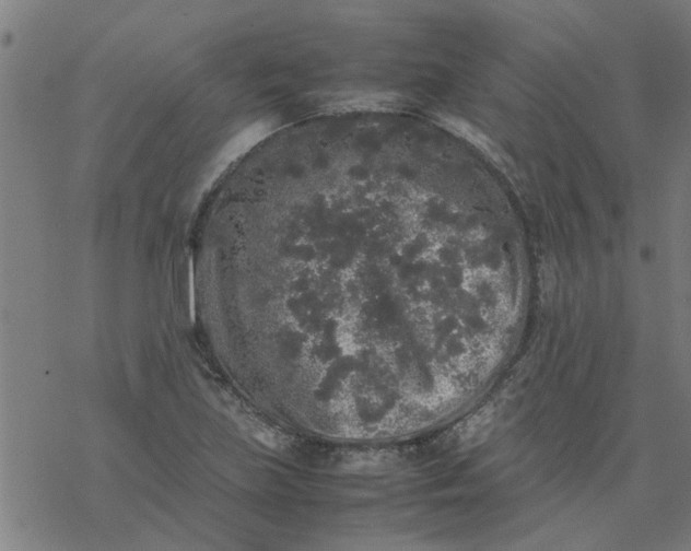 X0000077391219200611031953