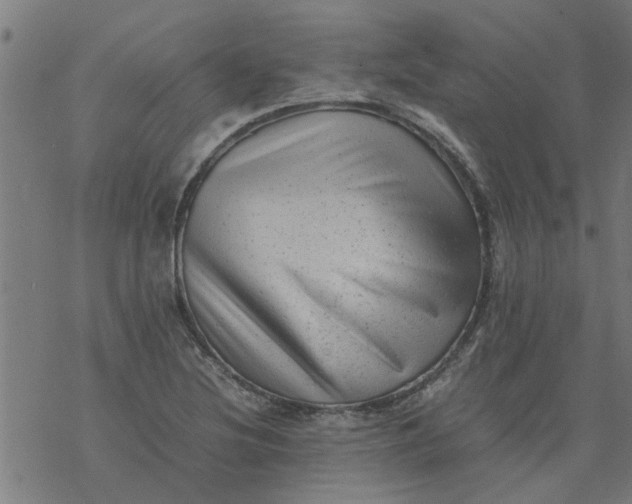 X0000077391220200611031953