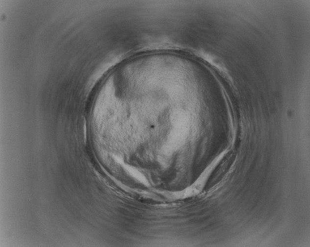 X0000077391221200611031953