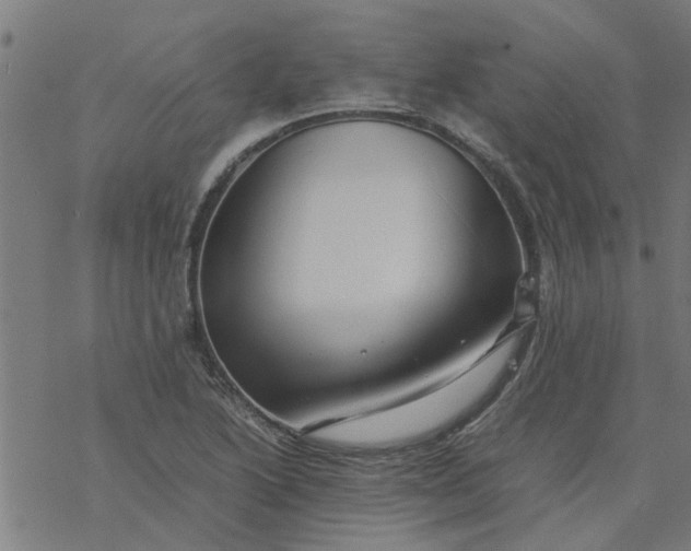 X0000077391222200611031953