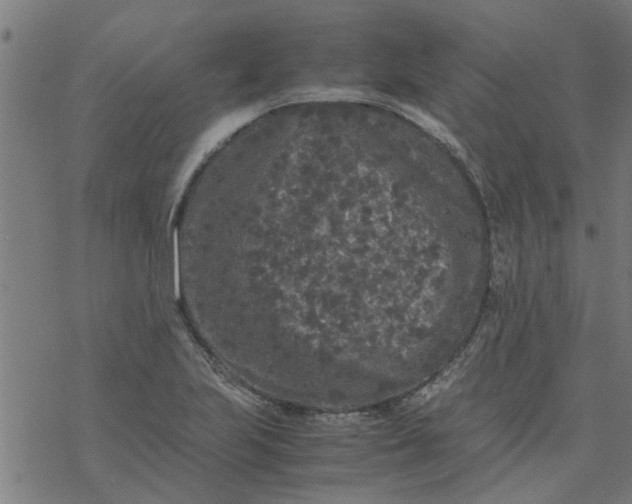 X0000077391223200611031953