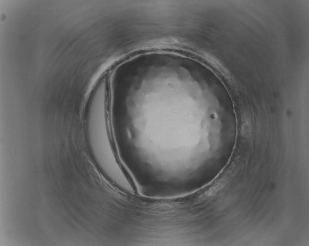 X0000077391224200611031953