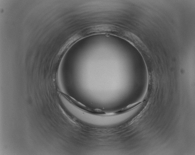 X0000077391225200611031953