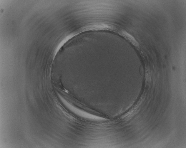 X0000077391226200611031953