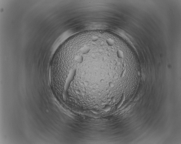 X0000077391227200611031953