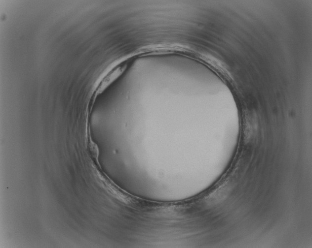 X0000077391228200611031953