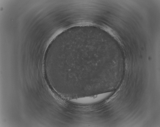 X0000077391229200611031953