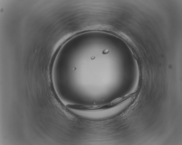 X0000077391230200611031953