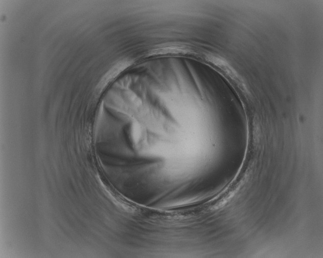 X0000077391233200611031953