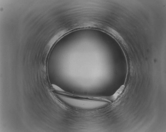 X0000077391234200611031953