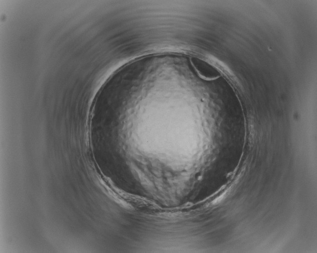 X0000077391236200611031953