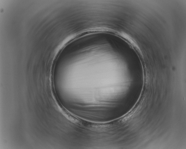 X0000077391237200611031953