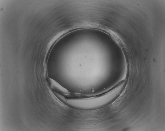 X0000077391238200611031953