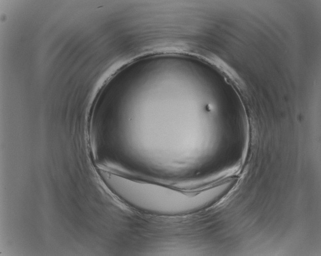 X0000077391240200611031953