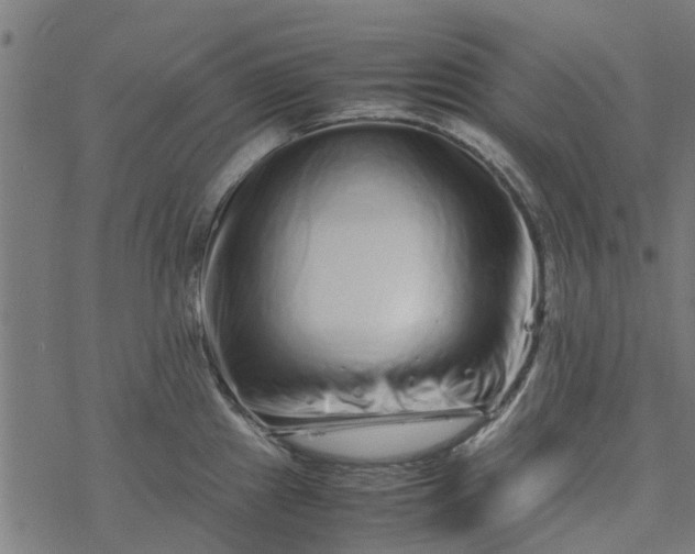 X0000077391241200611031953