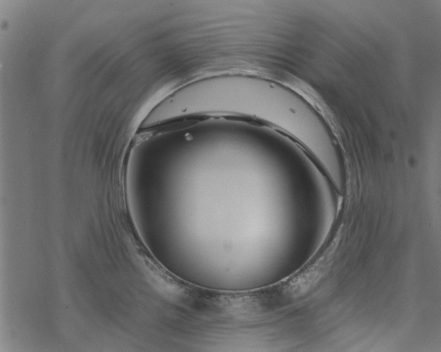 X0000077391242200611031953