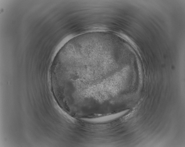 X0000077391243200611031953