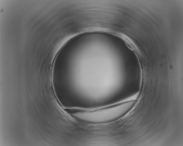 X0000077391244200611031953