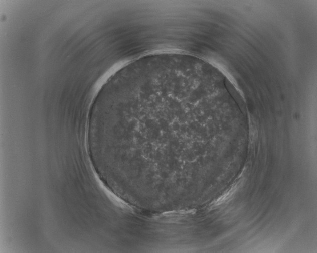 X0000077391245200611031953