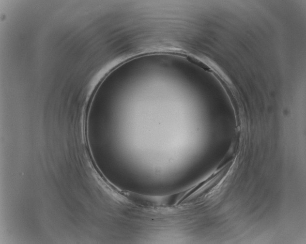 X0000077391246200611031953