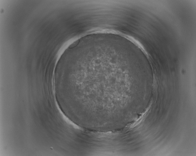 X0000077391247200611031953