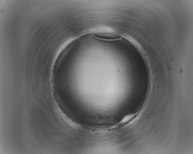 X0000077391248200611031953