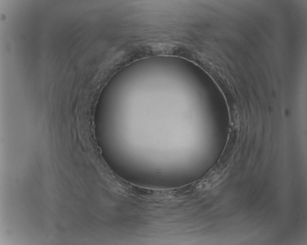 X0000077391249200611031953