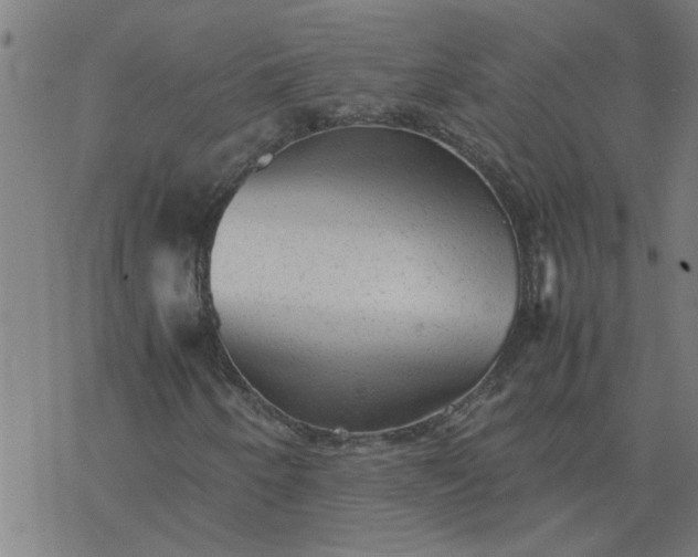 X0000077391250200611031953