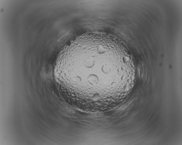 X0000077391251200611031953