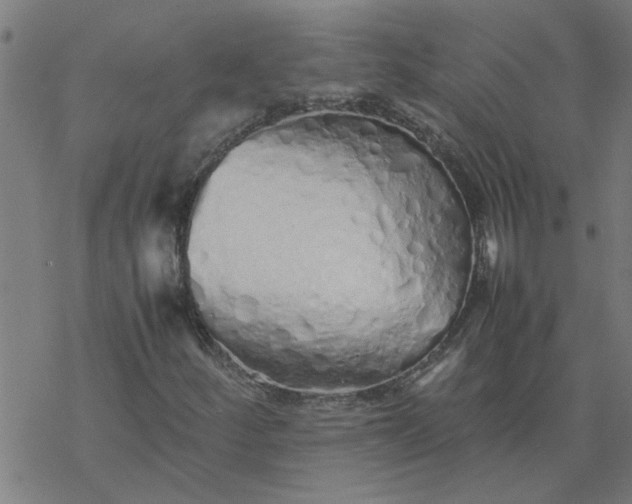 X0000077391252200611031953