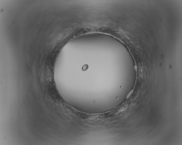 X0000077391253200611031953