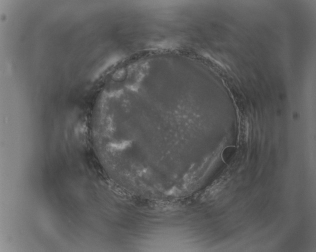 X0000077391254200611031953