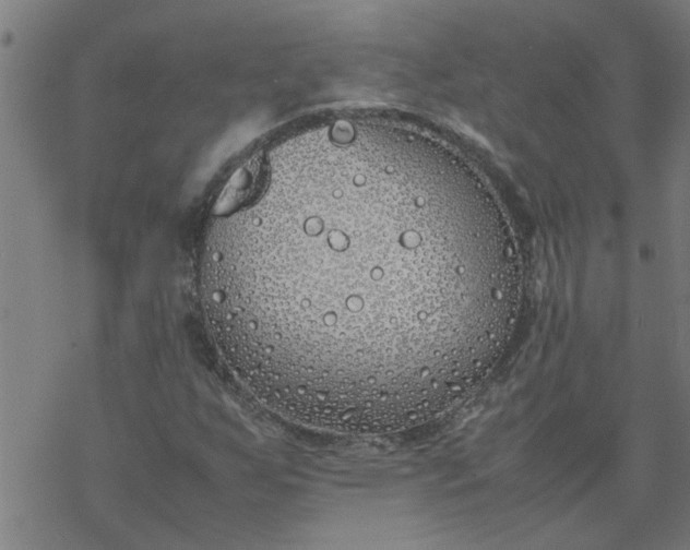 X0000077391255200611031953