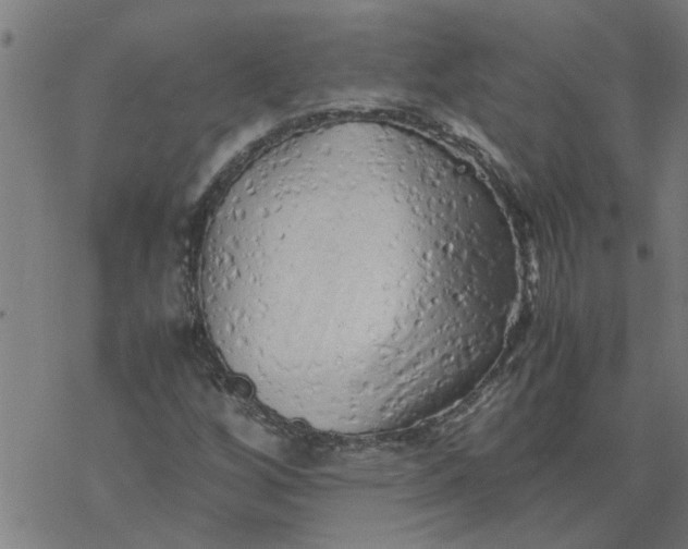 X0000077391256200611031953