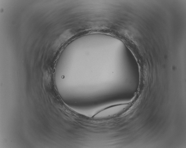 X0000077391257200611031953