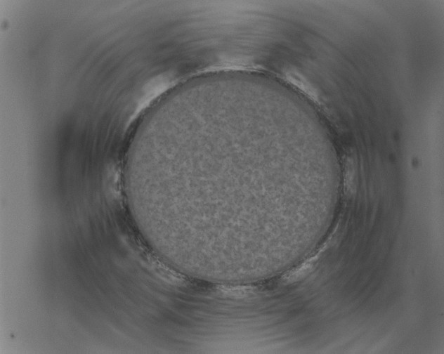 X0000077391258200611031952