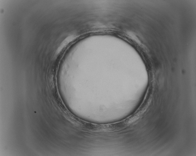 X0000077391259200611031952