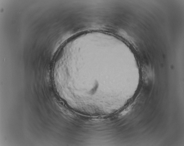 X0000077391260200611031952