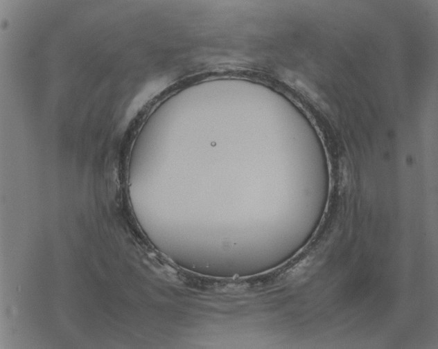 X0000077391261200611031952