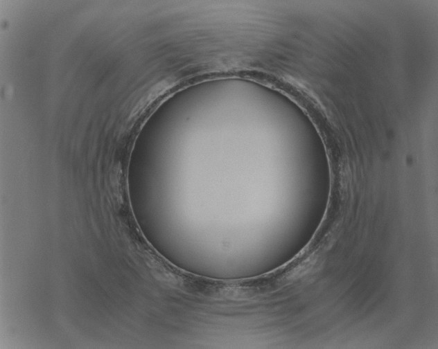 X0000077391265200611031952