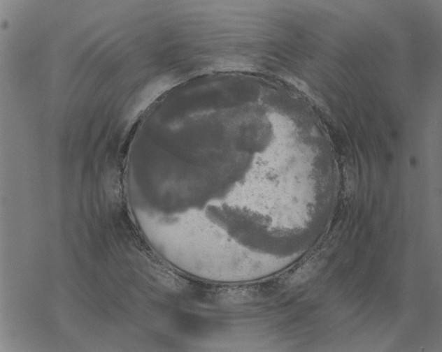 X0000077391266200611031952