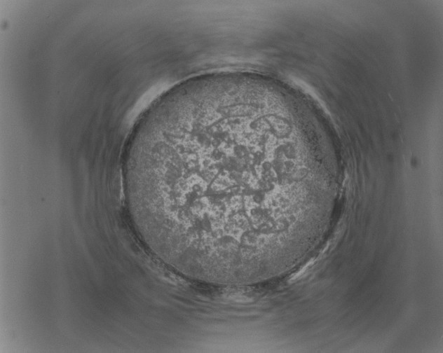 X0000077391267200611031952