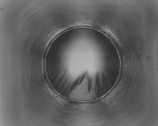 X0000077391268200611031952