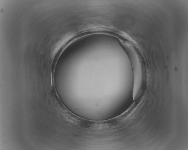 X0000077391269200611031952