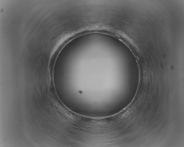 X0000077391270200611031952