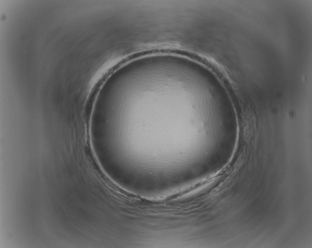 X0000077391271200611031952