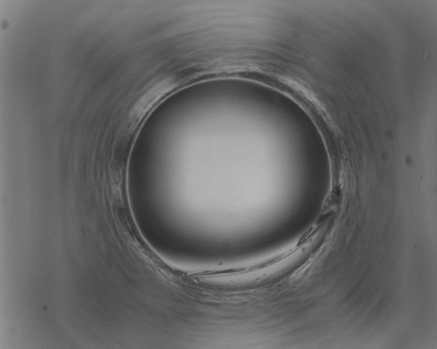 X0000077391273200611031952